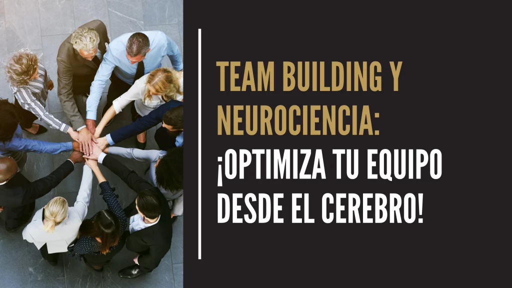 Actividades de team building basadas en neurociencia para mejorar equipos
