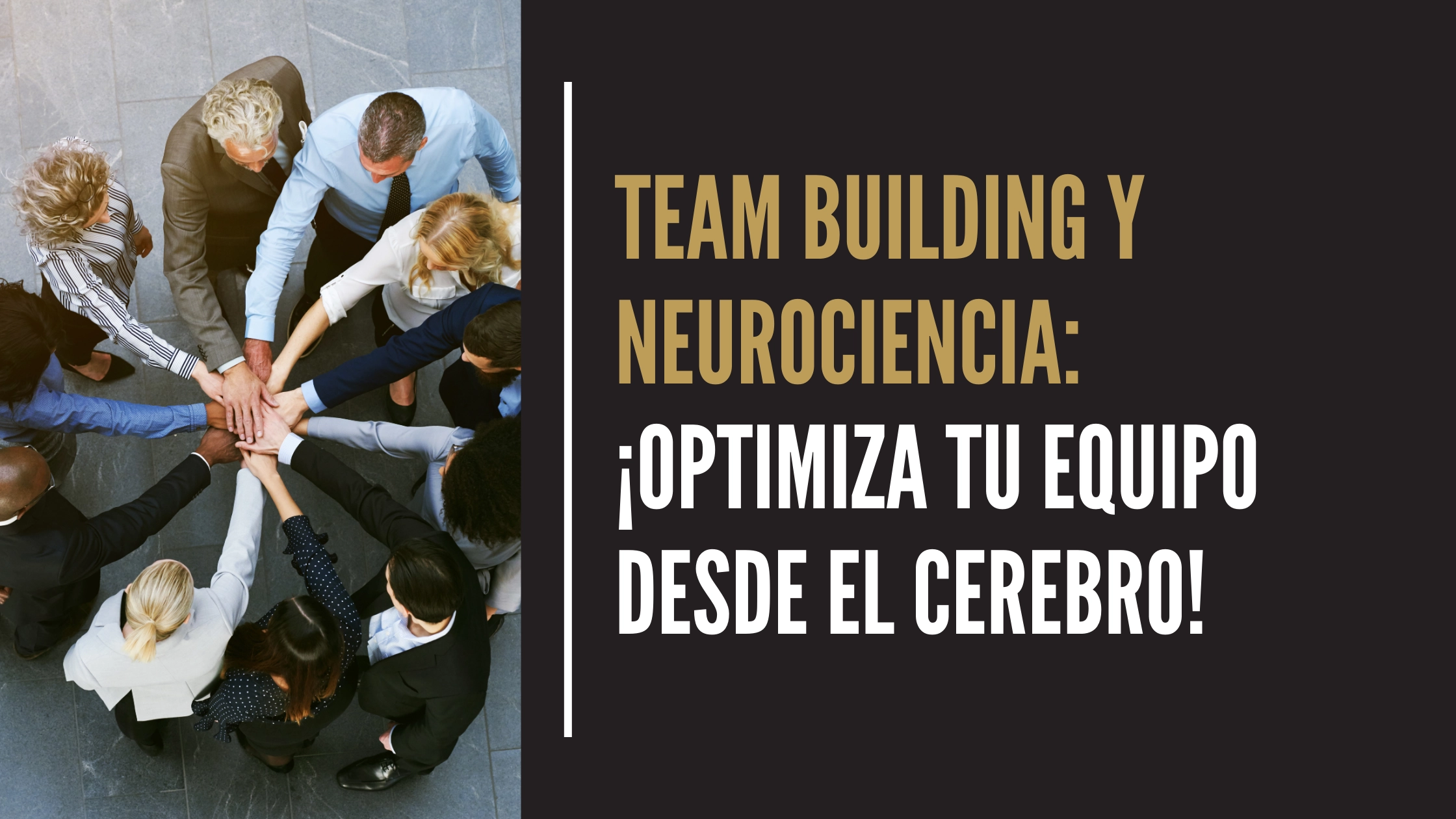 Actividades de team building basadas en neurociencia para mejorar equipos